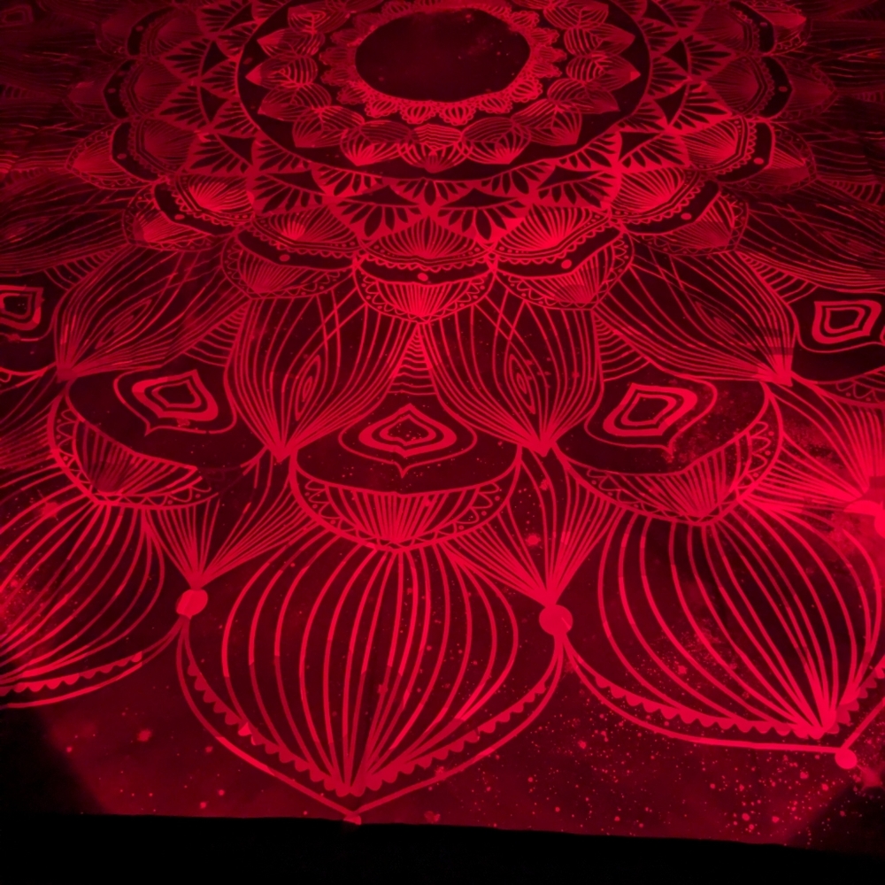 Tapestry - Picture 3 of 3